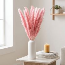Článok Suchá tráva ružová dekoratívna trstinová tráva pampas 70 cm 10 ks