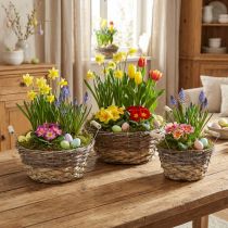 Článok Sada bielych kvetinových košov v štýle Shabby Chic, veľkonočná dekorácia, prírodný košík s rúčkami Ø28/24/19 cm, ozdobné košíky prané