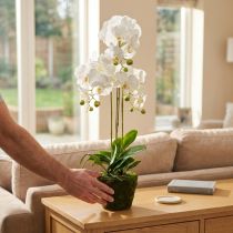 Článok Umelé orchidey do kvetináča biele 80cm