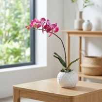 Článok Umelé orchidey v kvetináči Phalaenopsis umelé kvety orchidey ružové 34cm