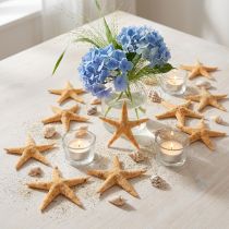 Článok Hviezdica rozptylová dekorácia home deco mini hviezdica príroda 2-4cm 50p