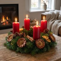 Článok Repens Rosette Light 8-9cm 25 ks