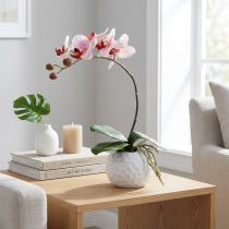 Článok Ružová orchidea v keramickom kvetináči 31 cm