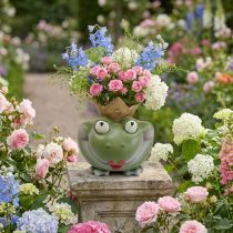 Článok Frog King Deco Vase Záhradná dekorácia Frog Vase 21×17,5×23cm