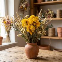 Článok Sušený kytičný kvet slamienky žltej (Helichrysum), 100 g