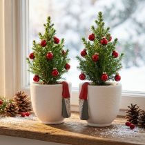 Článok Vianočný črepník s trpaslíkom, adventná dekorácia, betónový črepník biely, červený Ø8cm V12,5cm 2ks