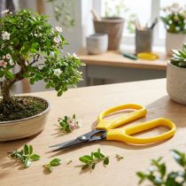 Článok Bonsai &amp; kliešte Oasis nožnice 15,5 cm