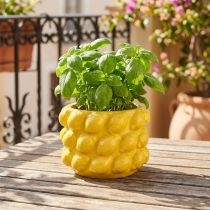 Článok Kvetináč keramický kvetináč citrónovo žltý Ø18cm V13cm