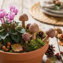 Článok Kvetinové kolíky, dizajn húb, drevené ozdobné kolíky, hnedé, Ø2,5 cm, 8 kusov