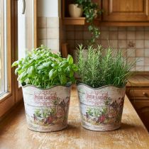 Článok Kvetináč na bylinky plastový Fresh Garden H13,5cm 2ks