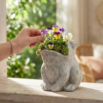 Článok Žaba dekoračný kvetináč kvetináč betón sivý V18,5cm