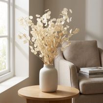 Článok Lunaria Deco Moon Violet Strieborná listová sušená 90cm 100g