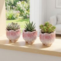 Článok Mini kvetináč keramický črepník rôzny Ø8cm V7cm 3ks