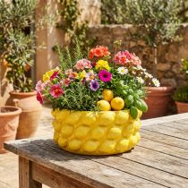 Článok Kvetináč citrón keramická miska kvetináč žltý Ø26cm V12cm