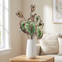 Článok Begonia Umelé rastliny Listové Begónie Zelenofialové 62cm