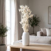 Článok Sušené kvety Nigella, kytica elegantnej prírodnej dekorácie do exkluzívnych interiérov, 70 cm, 50 g