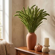 Článok Sušené kvety, Setaria Pumila, štetinové proso zelené 75 cm 200 g