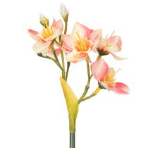 položky Dekoratívna kvitnúca vetvička peruánskej ľalie pre nadčasové aranžmány, 33 cm, 6 kusov