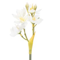 položky Narcisová vetvička na sezónne svadobné aranžmány, krásna, 33 cm, 6 kusov
