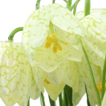 položky Šachovnicové kvety Fritillaria umelá biela, zelená 40cm 12 ks