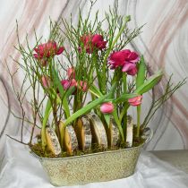 položky Jarná dekorácia kvetináč oválna kovová miska na rastliny s ušami vintage 28×15cm