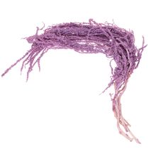 položky Sušené kvety líščieho chvosta, farbené, pre modernú bytovú dekoráciu, 100 cm, 5 kusov