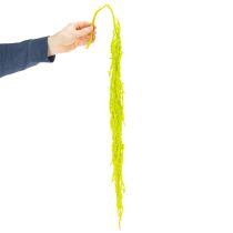 položky Sušené kvety líščieho chvosta, farbené, pre špeciálnu bytovú dekoráciu a jedinečné akcenty, 100 cm, 5 kusov