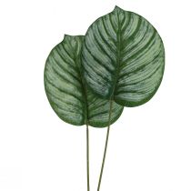 položky Calathea Umelý košík Marante Umelé rastliny Zelený 51cm