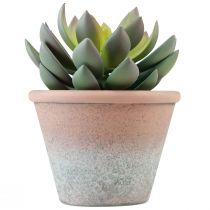 položky Sukulentná rastlina v kvetináči Echeveria umelá zelená vintage Ø15cm V16cm