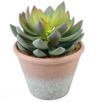 položky Sukulentná rastlina v kvetináči Echeveria umelá zelená vintage Ø15cm V16cm