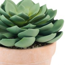 položky Sukulentná rastlina v kvetináči Echeveria umelá zelená Ø15cm