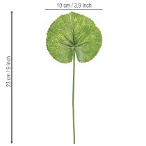 položky Listy Galax Urceolata Umelá zelená Ø10cm L23cm 12 ks