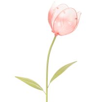 položky Dekoratívny tulipán v tvare kolíka na kvetinové záhony a okraje 94 cm
