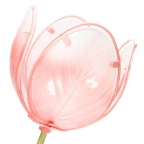 položky Dekoratívny tulipán v tvare kolíka na kvetinové záhony a okraje 94 cm