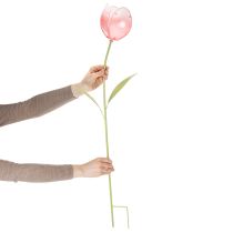 položky Dekoratívny tulipán v tvare kolíka na kvetinové záhony a okraje 94 cm
