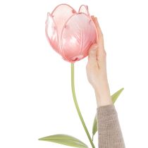 položky Dekoratívny tulipán v tvare kolíka na kvetinové záhony a okraje 94 cm