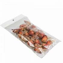 položky Zeleninová dekorácia mini cvikla umelá Ø2,5cm V3,5cm 24 ks