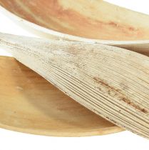 položky Kokosové škrupiny kokosové listy bielené 22-42cm 25ks