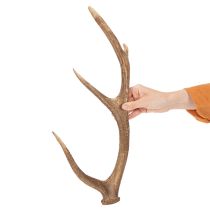 Článok Dekoratívne umelé parohy, rustikálna dekorácia chaty, 50 cm