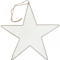 položky Kovová hviezdicová sieť Deco Star Kovová Deco zlatá Ø57cm