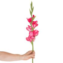položky Umelá gladioláza s ozdobnými kvetmi, 88 cm
