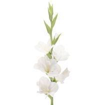 Článok Umelý mečík, dlhá stonka, do vázy, 88 cm