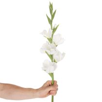 položky Umelý mečík, dlhá stonka, do vázy, 88 cm