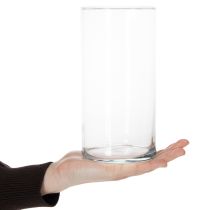 položky Vysoká sklenená váza, jednoduchý sklenený valec ako kvetinová váza alebo dekoratívne sklo, 20 cm