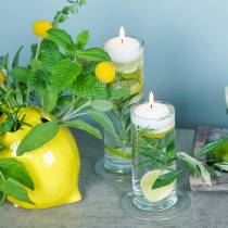 položky Sklenená váza s podstavcom, číra, Ø6cm, V25cm