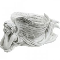 položky Hrob anjel s miskou na rastliny Vtáčí anjel do kúpeľa ležiaci 39×18×18cm