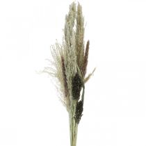 položky Sušené trávy vo zväzku Suchá floristika Suchá kytica V70cm