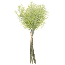 položky Okrasná vetvička špargle, prírodný doplnok do kvetinových kytíc, 34 cm, 7 kusov