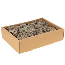 Článok Dekoratívny mach, sivý mach na remeslá, 500g