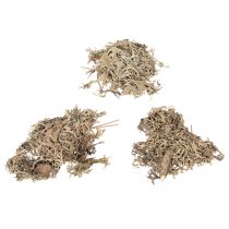 Článok Dekoratívny mach, sivý mach na remeslá, 500g